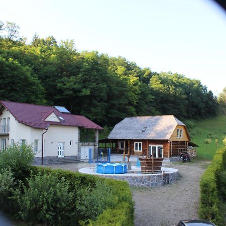 La Cretu Villa Rozavlea Buitenkant foto